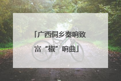 广西侗乡奏响致富“椒”响曲