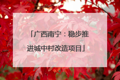 广西南宁：稳步推进城中村改造项目