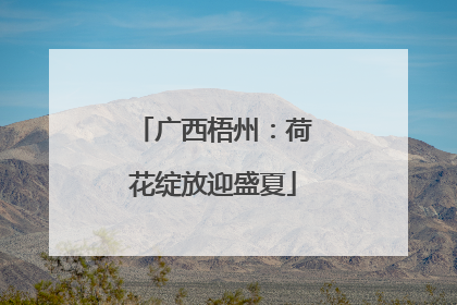 广西梧州：荷花绽放迎盛夏