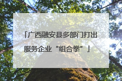 广西融安县多部门打出服务企业“组合拳”