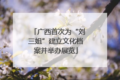 广西首次为“刘三姐”建立文化档案并举办展览