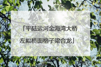 平陆运河金海湾大桥左幅桥面格子梁合龙
