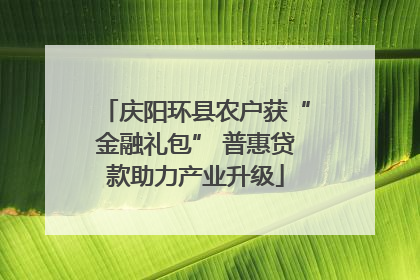 庆阳环县农户获“金融礼包” 普惠贷款助力产业升级