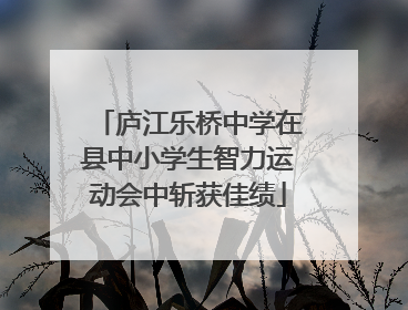 庐江乐桥中学在县中小学生智力运动会中斩获佳绩