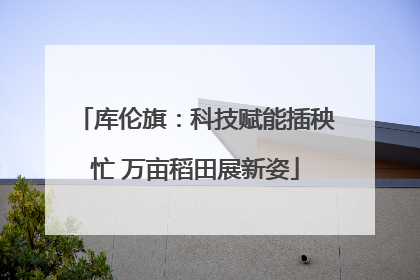 库伦旗：科技赋能插秧忙 万亩稻田展新姿