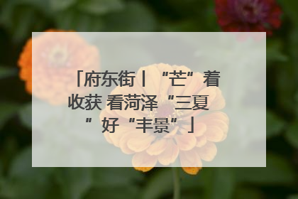 府东街丨“芒”着收获 看菏泽“三夏”好“丰景”