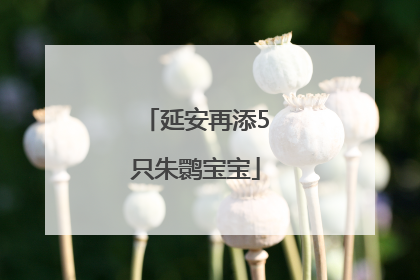延安再添5只朱鹮宝宝