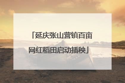 延庆张山营镇百亩网红稻田启动插秧