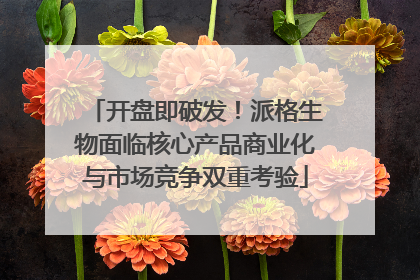 开盘即破发！派格生物面临核心产品商业化与市场竞争双重考验