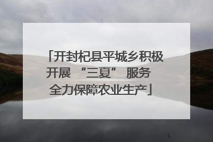 开封杞县平城乡积极开展 “三夏” 服务 全力保障农业生产