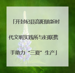 开封杞县高阳镇新时代文明实践所与妇联携手助力“三夏”生产