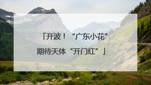 开波！“广东小花”期待天体“开门红”