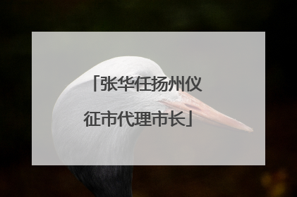 张华任扬州仪征市代理市长