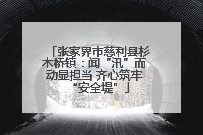 张家界市慈利县杉木桥镇：闻“汛”而动显担当 齐心筑牢“安全堤”
