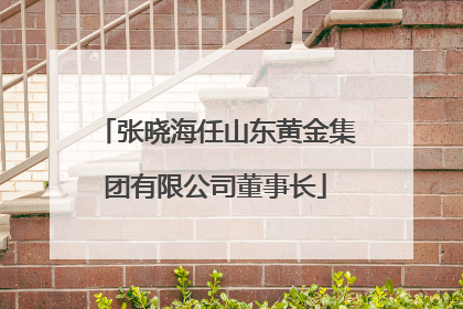 张晓海任山东黄金集团有限公司董事长