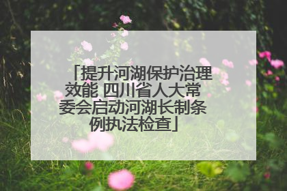 提升河湖保护治理效能 四川省人大常委会启动河湖长制条例执法检查