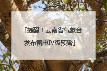 提醒！云南省气象台发布雷电Ⅳ级预警