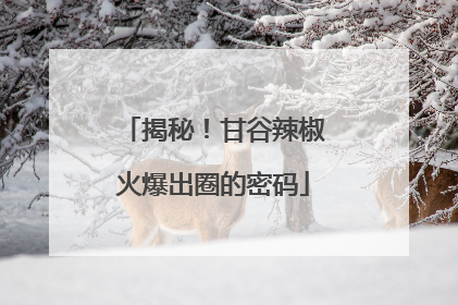 揭秘！甘谷辣椒火爆出圈的密码