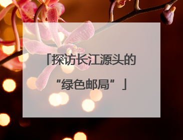 探访长江源头的“绿色邮局”