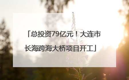 总投资79亿元！大连市长海跨海大桥项目开工