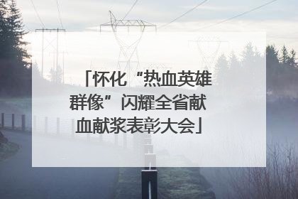 怀化“热血英雄群像”闪耀全省献血献浆表彰大会