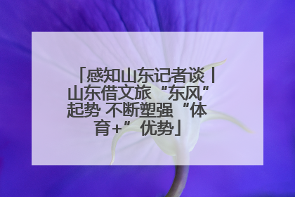 感知山东记者谈丨山东借文旅“东风”起势 不断塑强“体育+”优势
