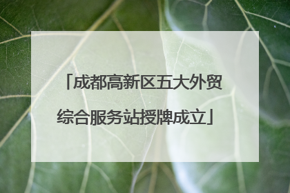 成都高新区五大外贸综合服务站授牌成立