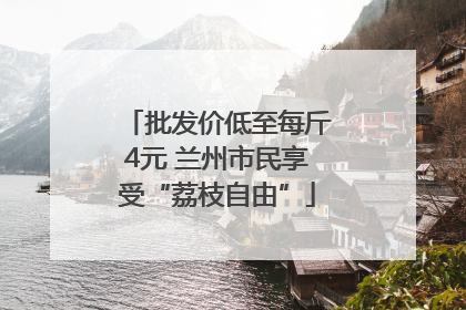 批发价低至每斤4元 兰州市民享受“荔枝自由”