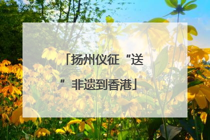 扬州仪征“送”非遗到香港