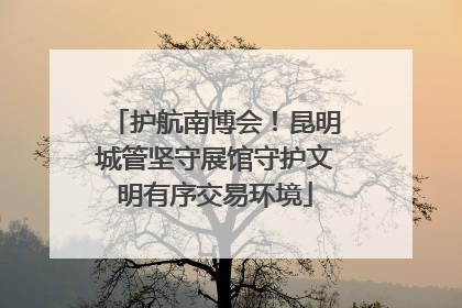 护航南博会！昆明城管坚守展馆守护文明有序交易环境