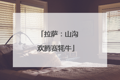 拉萨：山沟欢腾赛牦牛