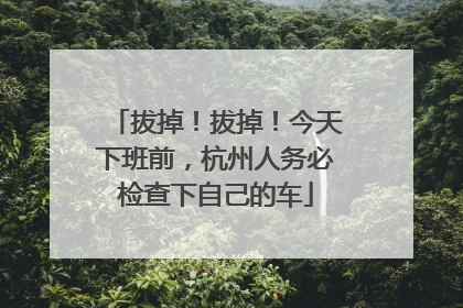 拔掉！拔掉！今天下班前，杭州人务必检查下自己的车