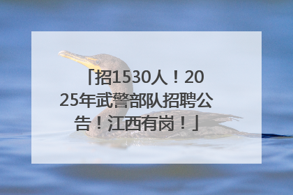 招1530人！2025年武警部队招聘公告！江西有岗！
