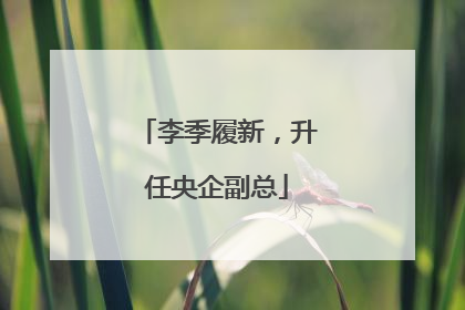 李季履新，升任央企副总