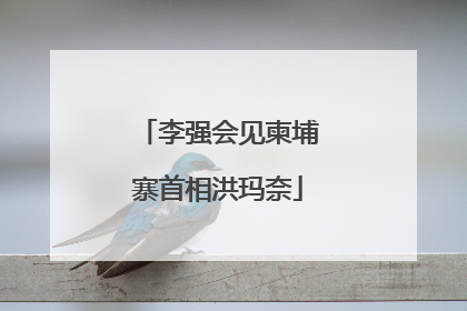 李强会见柬埔寨首相洪玛奈