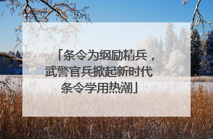 条令为纲励精兵，武警官兵掀起新时代条令学用热潮
