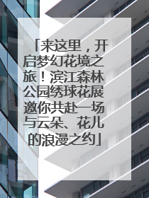 来这里，开启梦幻花境之旅！滨江森林公园绣球花展邀你共赴一场与云朵、花儿的浪漫之约