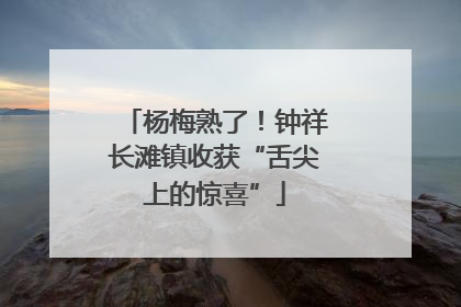杨梅熟了！钟祥长滩镇收获“舌尖上的惊喜”