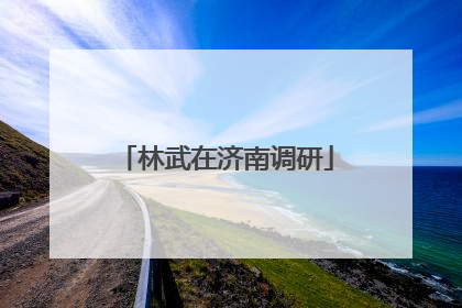 林武在济南调研