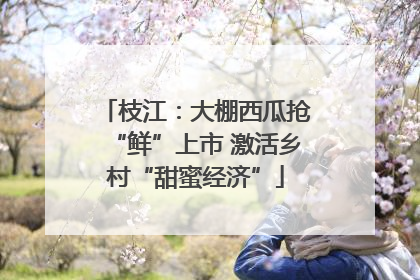 枝江：大棚西瓜抢“鲜”上市 激活乡村“甜蜜经济”