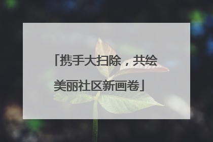 携手大扫除，共绘美丽社区新画卷