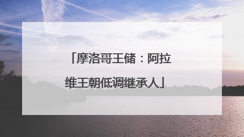 摩洛哥王储：阿拉维王朝低调继承人
