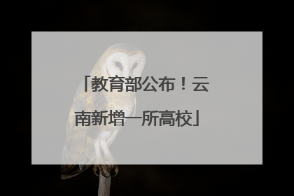 教育部公布！云南新增一所高校