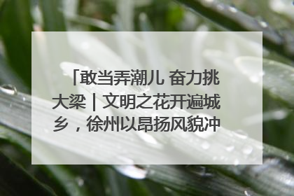敢当弄潮儿 奋力挑大梁｜文明之花开遍城乡，徐州以昂扬风貌冲刺“万亿之城”