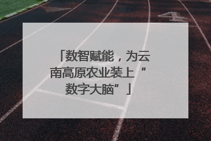 数智赋能，为云南高原农业装上“数字大脑”