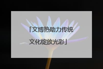 文博热助力传统文化绽放光彩