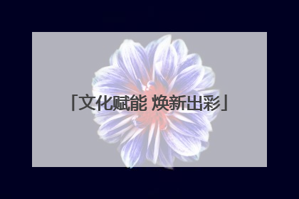 文化赋能 焕新出彩