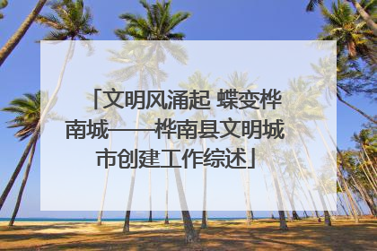 文明风涌起 蝶变桦南城——桦南县文明城市创建工作综述