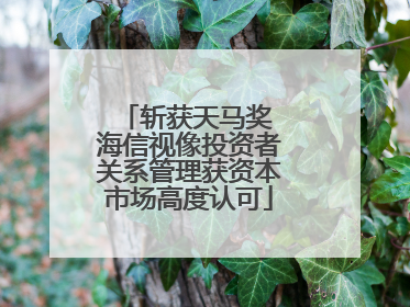 斩获天马奖 海信视像投资者关系管理获资本市场高度认可