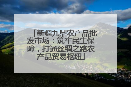 新疆九鼎农产品批发市场：筑牢民生保障，打通丝绸之路农产品贸易枢纽